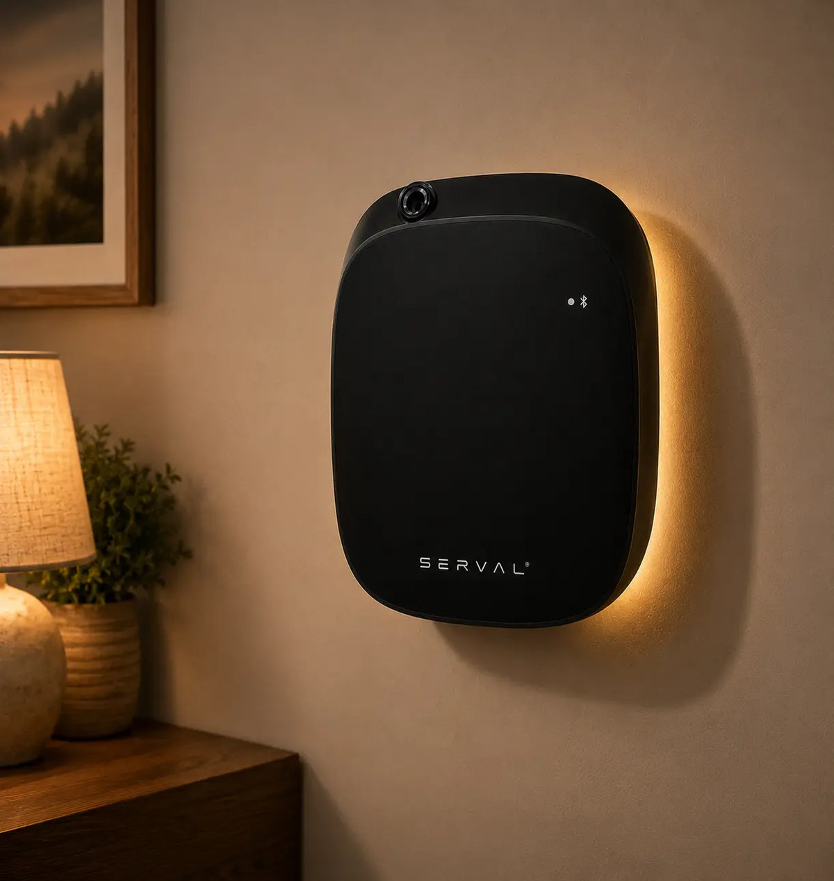 Bundle: Wally Black, Aroma Diffuser + 15ml Kelp Forest