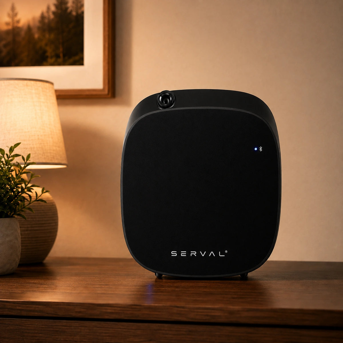 Bundle: Wally Black, Aroma Diffuser + 15ml Kelp Forest